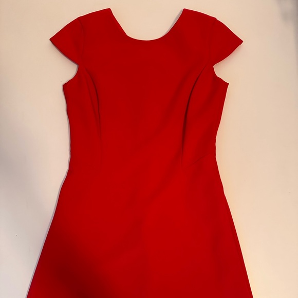 Little Red Dress with Cap Sleeves. Fully Lined. Beautiful, Classy and Sassy! - Picture 7 of 7